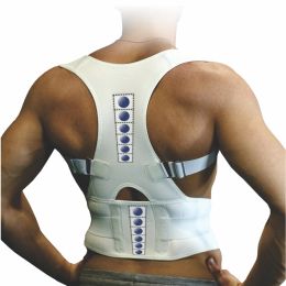 Bodyassist Lower Back Support with Posture Correction